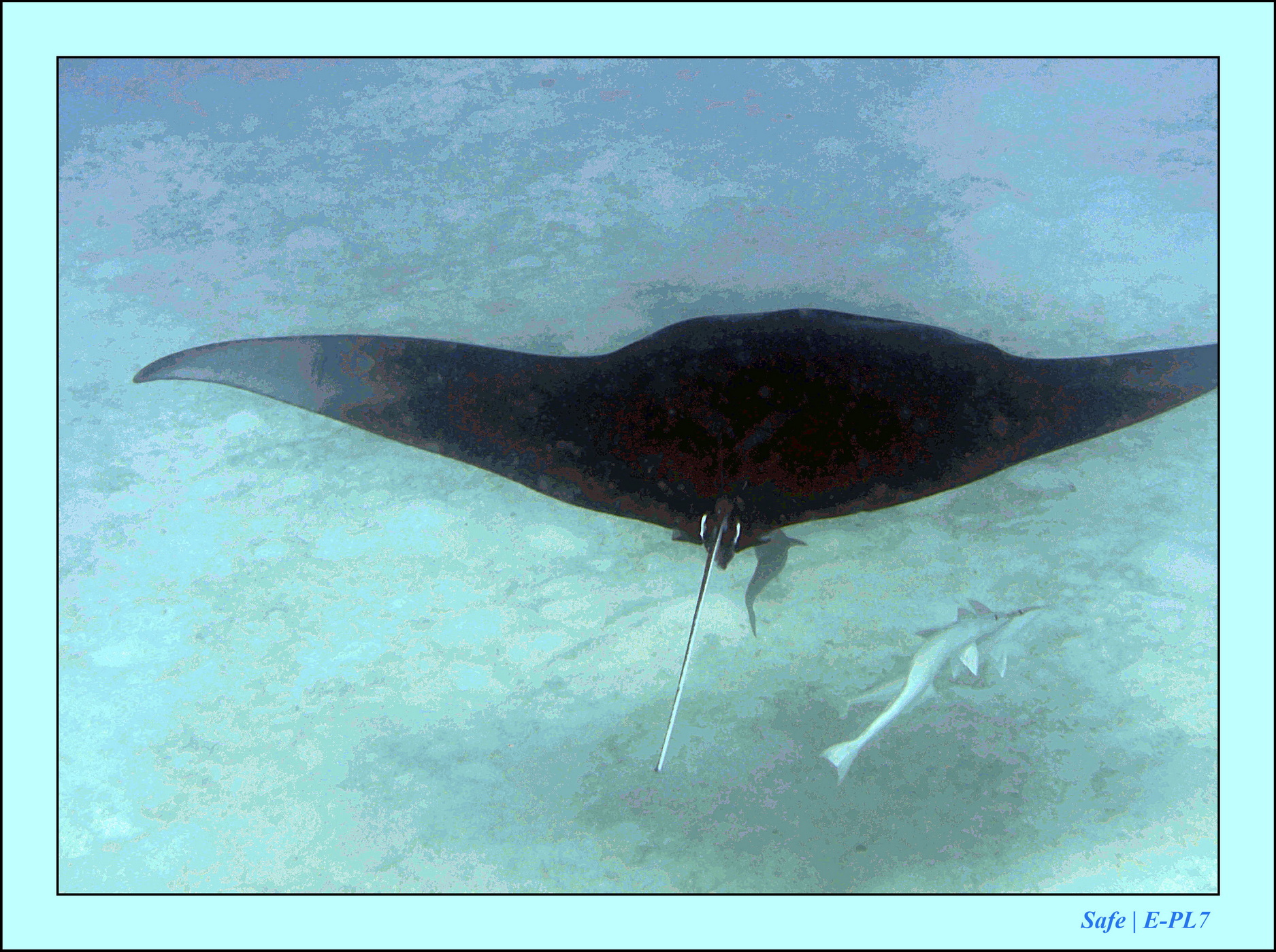 2023 - 07 - Sandies Bathala - 134